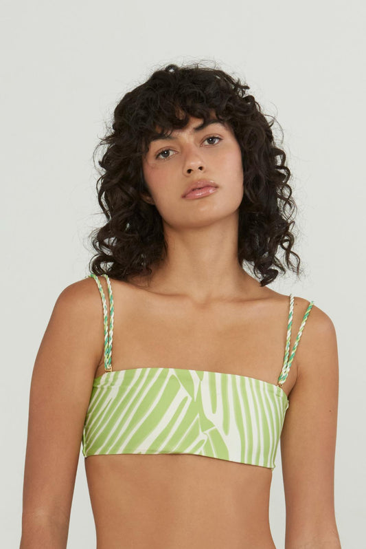 Leguan Ada Top